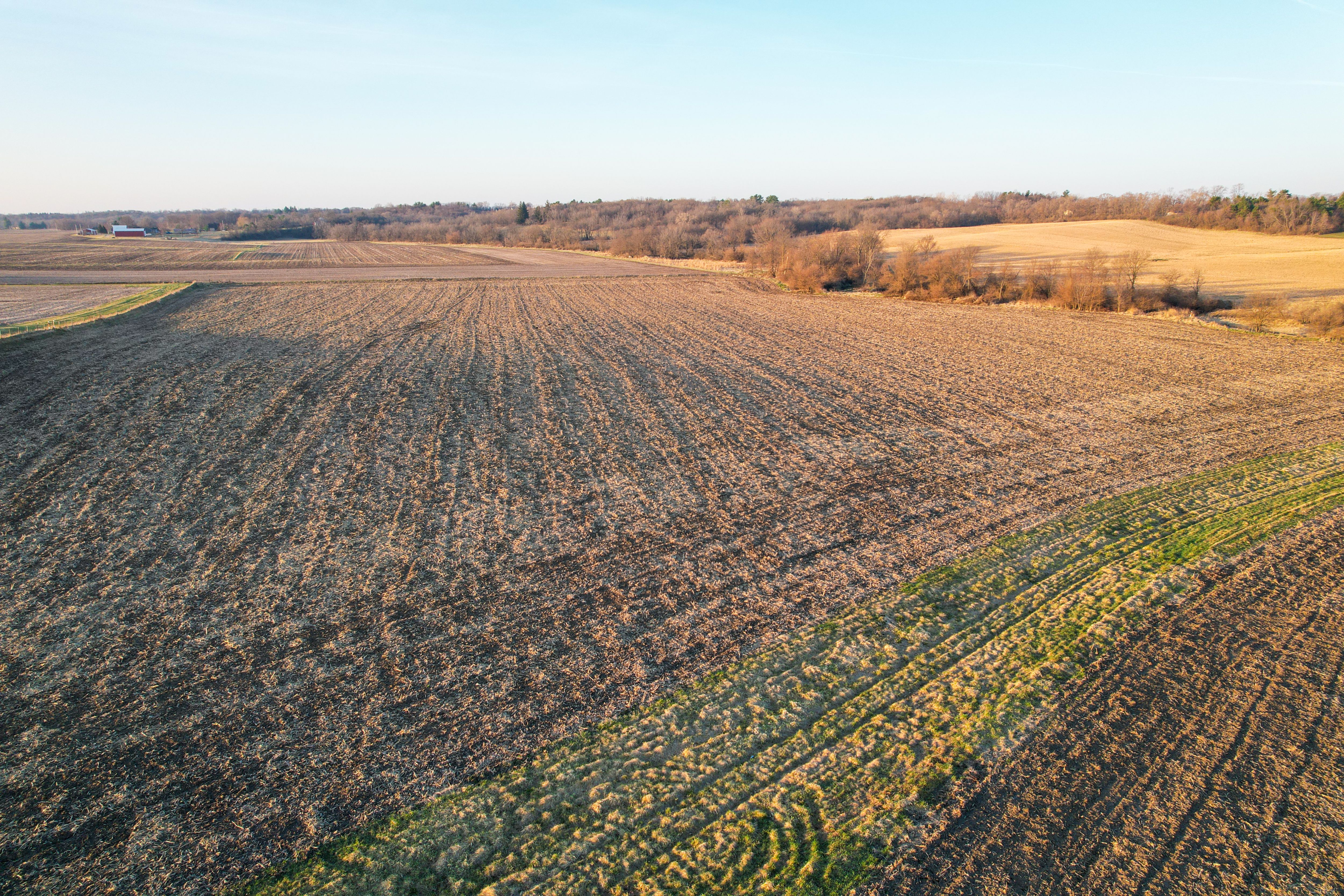 Listing Photo: Photo Mar 30 2026, 7 31 09 AM